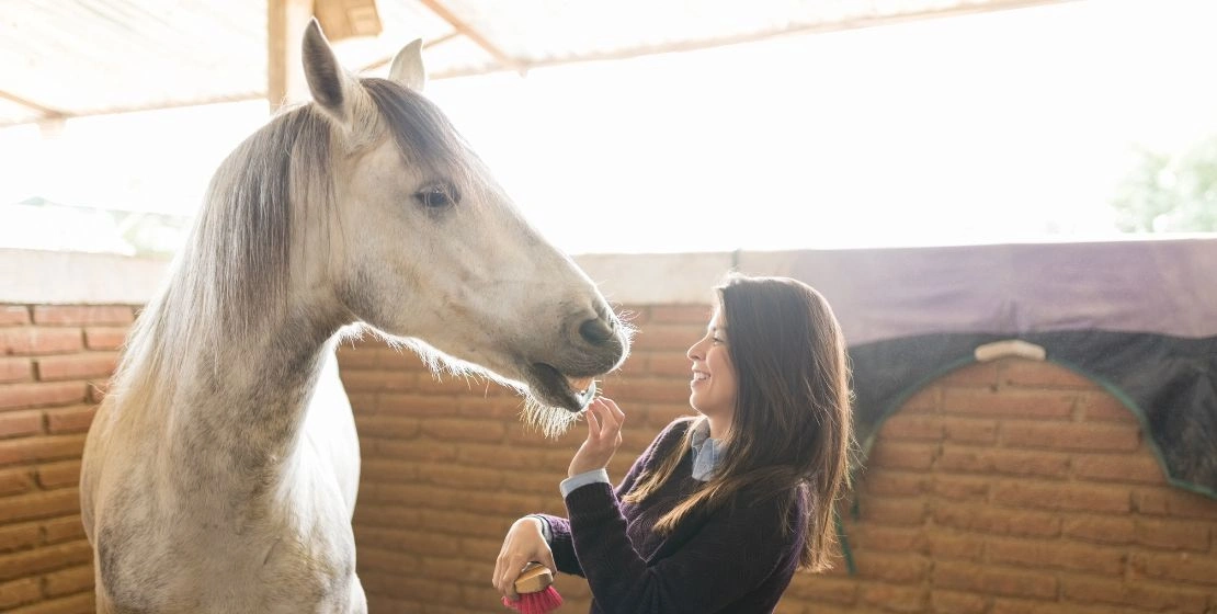 Avatar_Residential_Detox_Center_Blog_Why_Equine_Therapy_Is_Ideal_For_Treating_PTSD_Anxiety_And_Substance_Use_Disorders