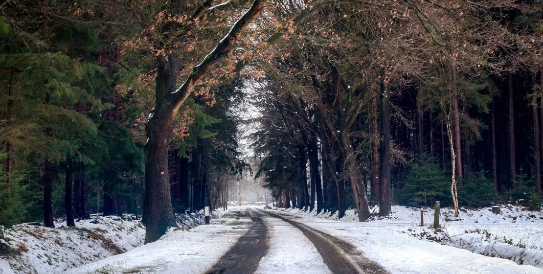 Avatar_Residential_Detox_Center_Blog_Winter_Wellness_The_Importance_Of_Maintaining_Sobriety_During_Cold_Months