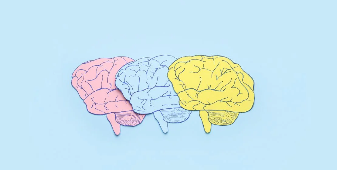 Avatar_Residential_Detox_Center_Blog_The_Effects_Of_Substance_Abuse_On_Brain_Function