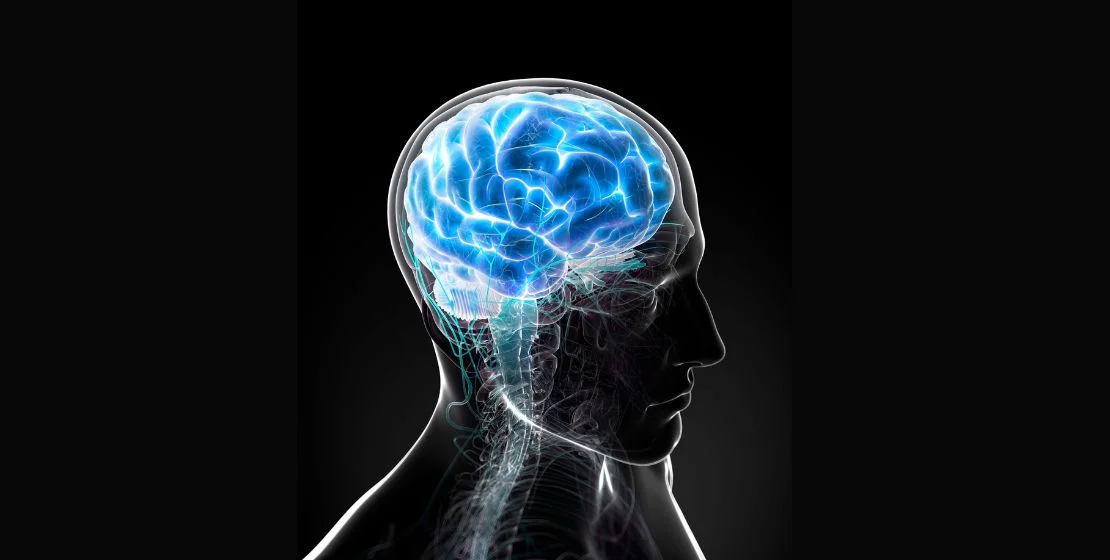 Avatar_Residential_Detox_Center_Blog_The_Science_Of_Alcohol_Addiction_How_Alcohol_Affects_The_Brain_And_Body